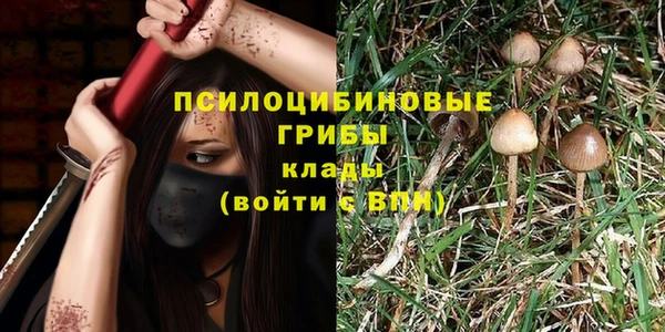 ПСИЛОЦИБИНОВЫЕ ГРИБЫ Абдулино